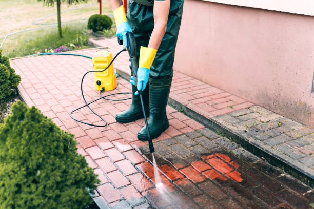Best Roof Pressure Washing  in Delisle, MS