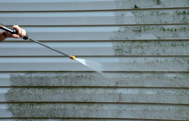 Best Pressure Washing Near Me  in Delisle, MS