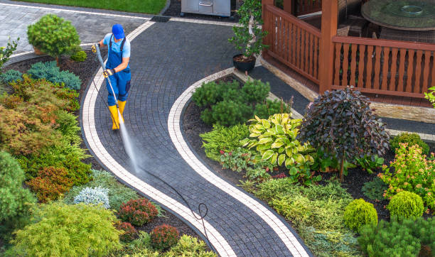 Best Best Pressure Washing Companies  in Delisle, MS
